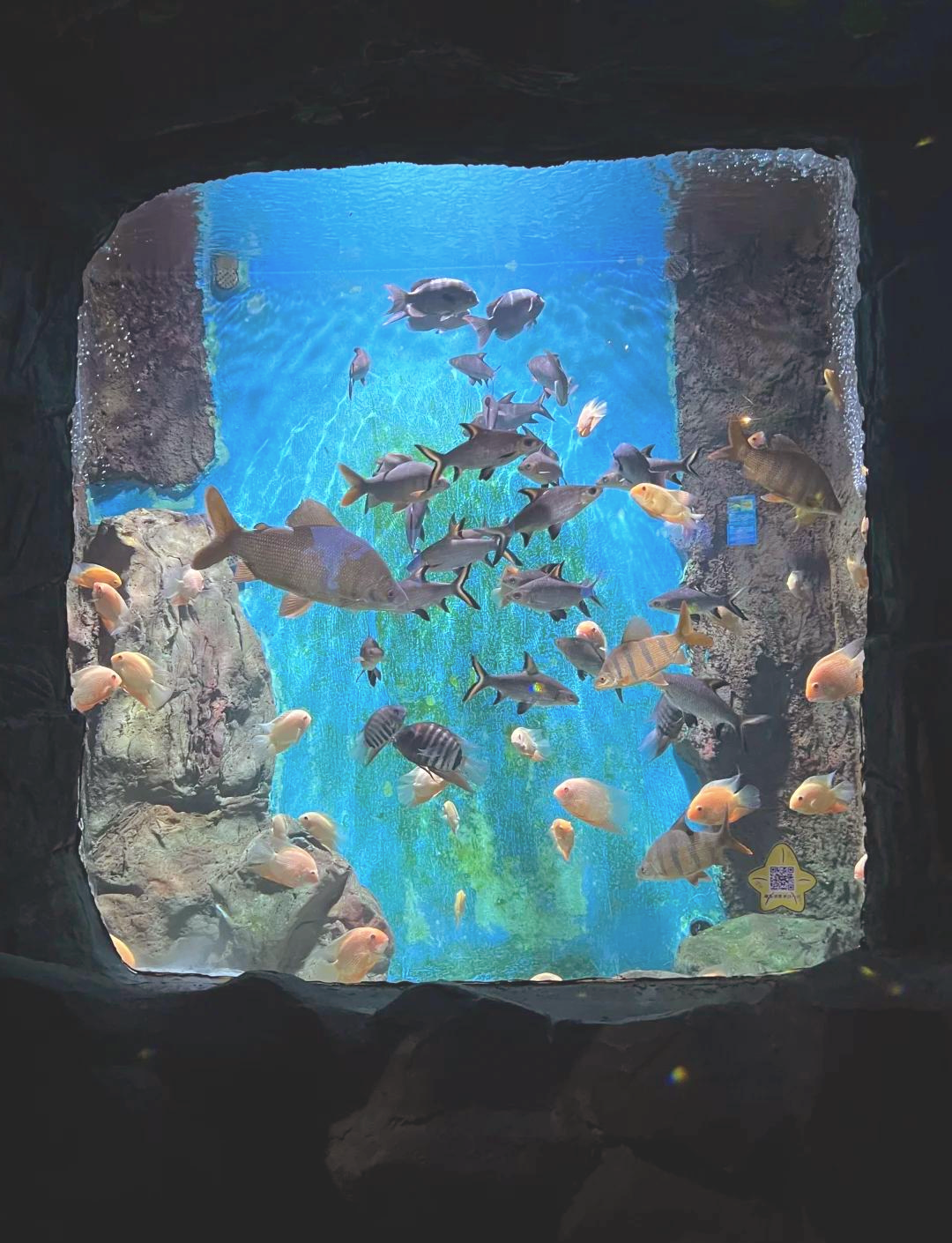 特色水底潜水探秘，探索海底奇幻世界