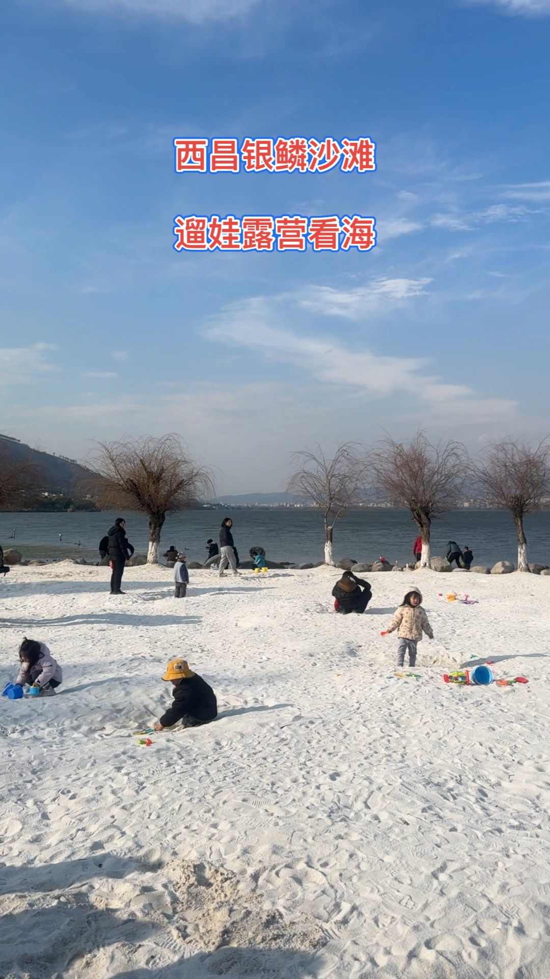特色海沿岸沙滩犁地赛，绿海蓝天中的生态运动的简单介绍