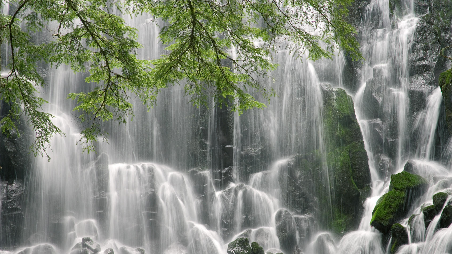 富勒姆客场遭埃弗顿逆转，球队暂时排名垫底，重返英超仍任重道远
